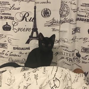 Meet your Posher, Antonio